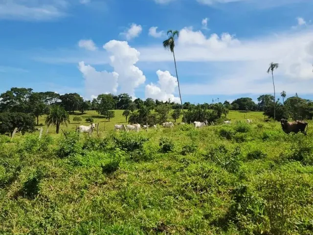 Imagem 2: Fazenda a Venda, em Uruana - Goiás