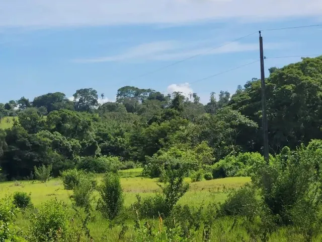 Imagem 7: Fazenda a Venda, em Uruana - Goiás