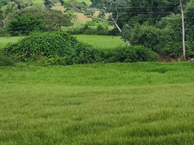Imagem 9: Fazenda a Venda, em Uruana - Goiás