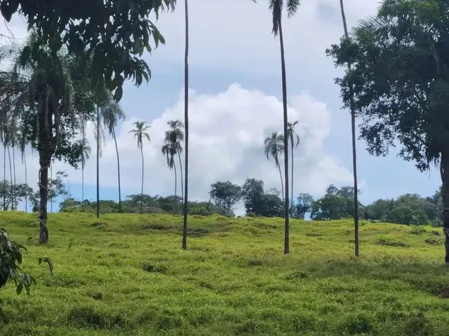 Imagem 14: Fazenda a Venda, em Uruana - Goiás