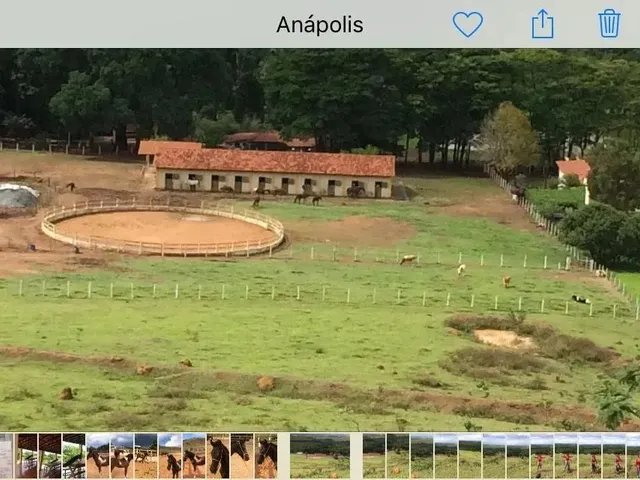 Imagem: Haras para Venda Possui 3 Alqueires Prox
