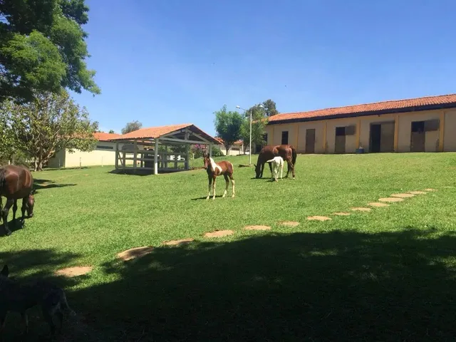 Imagem 12: Haras para Venda Possui 3 Alqueires Prox Base Aérea - Anápolis - Go