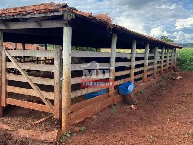 Imagem 2: Chácara 5,6 Alqueires (27 Hectares) Trindade - Go