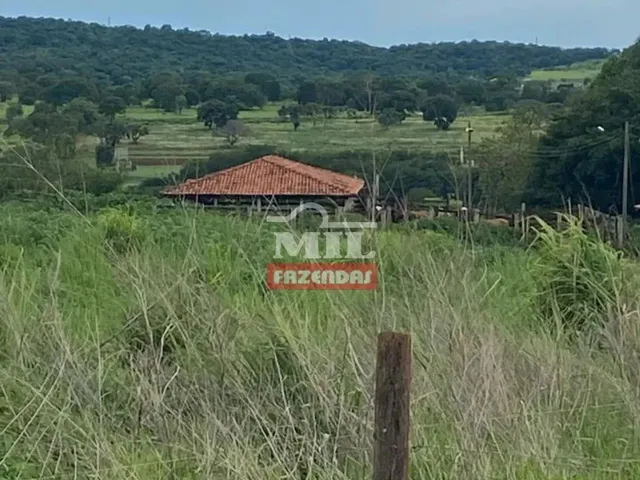 Imagem 3: Chácara 5,6 Alqueires (27 Hectares) Trindade - Go