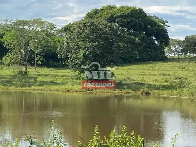 Imagem 7: Chácara 5,6 Alqueires (27 Hectares) Trindade - Go