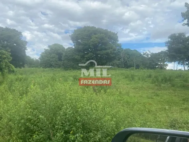 Imagem 6: Chácara 5,6 Alqueires (27 Hectares) Trindade - Go