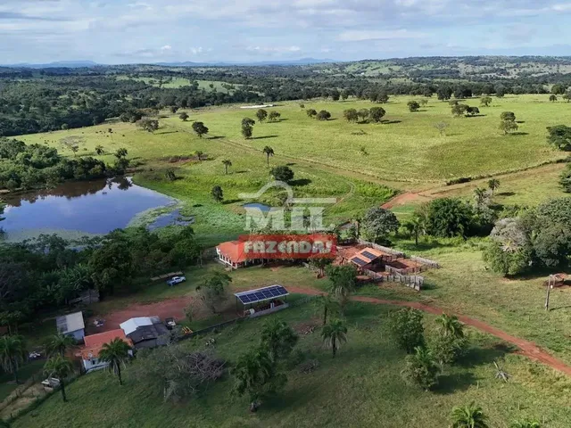 Imagem: Fazenda 217.5 Alqueires ( 1.052,7 Hectares