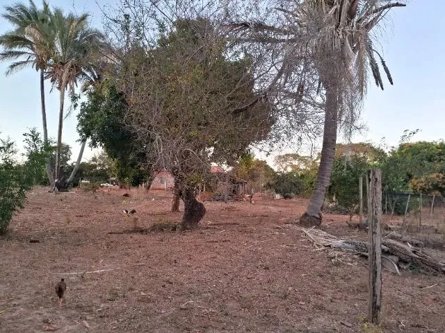 Imagem 6: Vende Se Sitio Chácara com venda por R$180.000