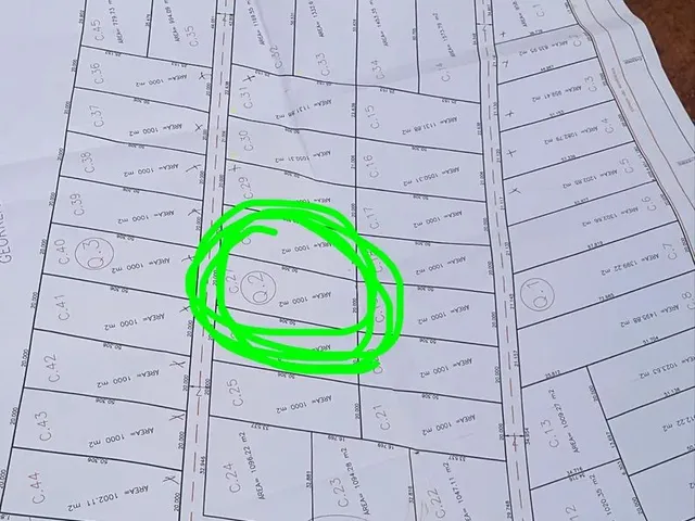 Imagem 3: Chácara 12Km Montes Claros