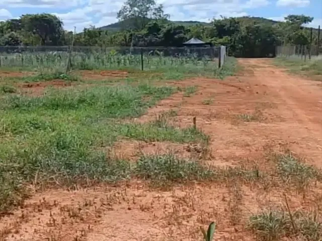 Imagem 4: Chácara 12Km Montes Claros