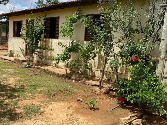 Imagem 2: Lindo Sítio a Venda