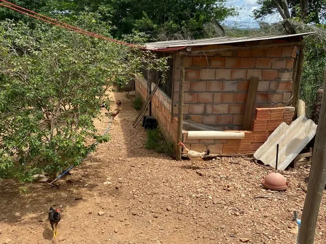 Imagem 6: Lindo Sítio a Venda