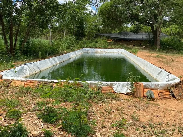 Imagem 13: Lindo Sítio a Venda