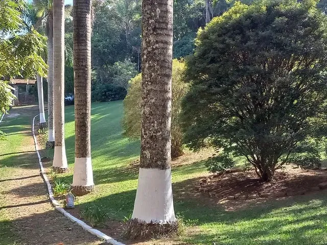 Imagem 6: Vendo Sítio na Quintas da Serra em Caeté Próximo a Serra da Piedade