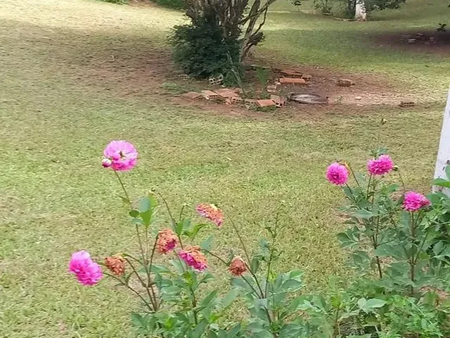 Imagem 7: Vendo Sítio na Quintas da Serra em Caeté Próximo a Serra da Piedade