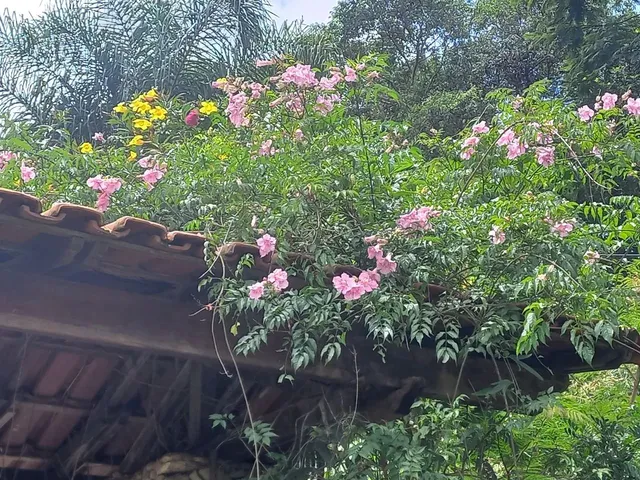 Imagem 14: Vendo Sítio na Quintas da Serra em Caeté Próximo a Serra da Piedade
