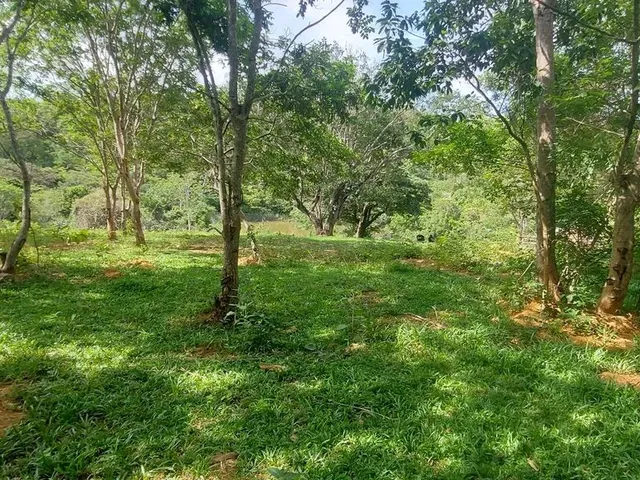 Imagem: Terreno Comercial as Margens da Mg 010