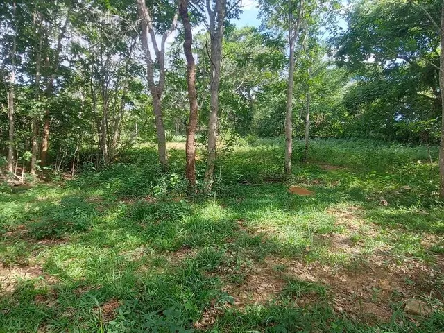 Imagem 2: Terreno Comercial as Margens da Mg 010