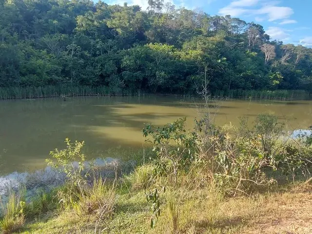 Imagem 4: Terreno Comercial as Margens da Mg 010