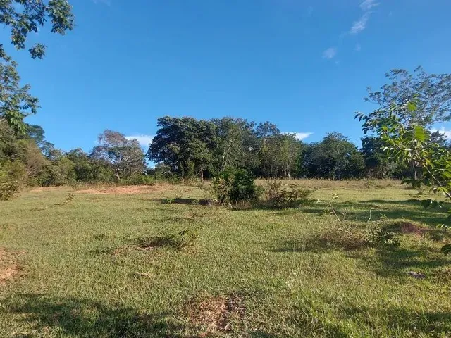 Imagem 5: Terreno Comercial as Margens da Mg 010