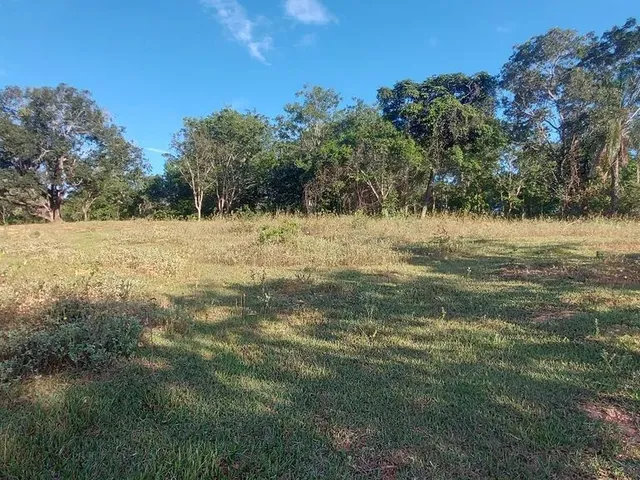 Imagem 6: Terreno Comercial as Margens da Mg 010