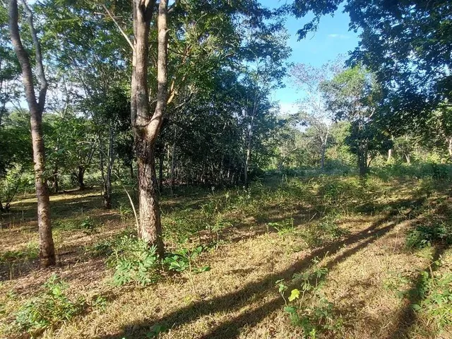 Imagem 7: Terreno Comercial as Margens da Mg 010