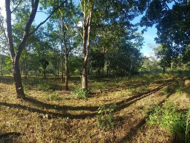 Imagem 8: Terreno Comercial as Margens da Mg 010