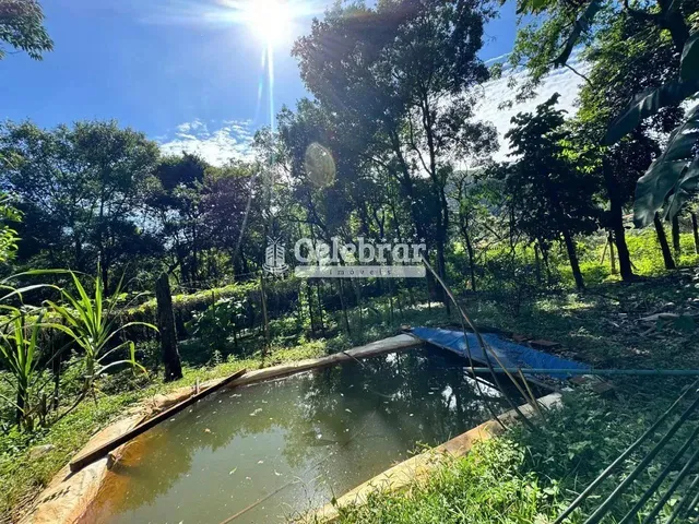 Imagem 14: Sítio / Chácara para Venda em Igarapé, Vale dos Ingas, 7 Dormitórios, 1 Suíte, 4