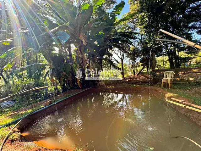 Imagem 11: Sítio / Chácara para Venda em Igarapé, Vale dos Ingas, 7 Dormitórios, 1 Suíte, 4