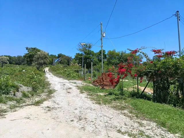 Imagem 6: Ótima Chácara Chácara com venda por R$70.000