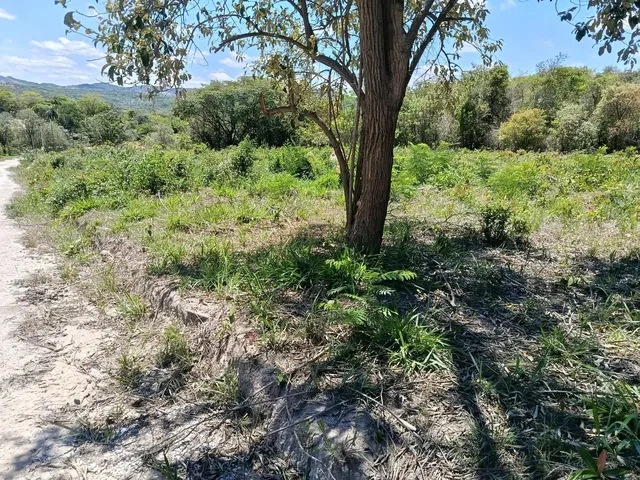 Imagem 10: Ótima Chácara Chácara com venda por R$70.000