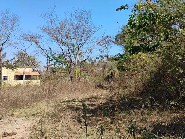 Imagem: Terreno de 1.000 M. 2 Km Asfalto