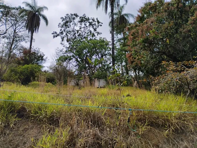 Imagem 5: Terreno de 1.000 M. 2 Km Asfalto