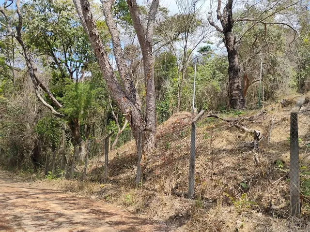 Imagem 6: Terreno de 1.000 M. 2 Km Asfalto