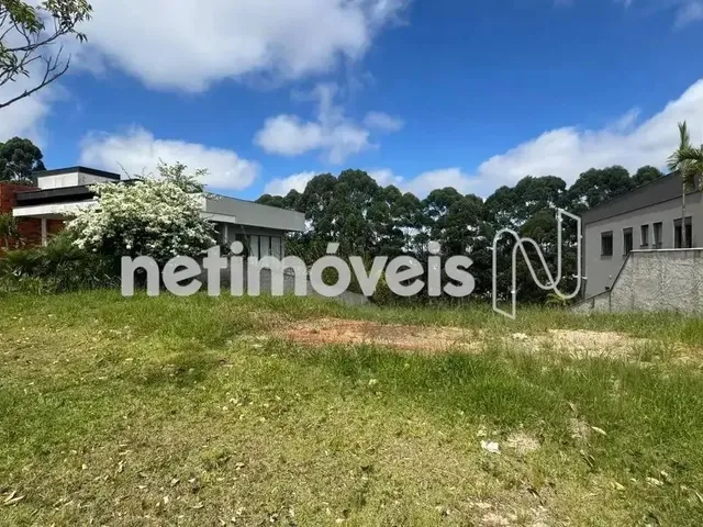Imagem: Venda Lote em Condomínio Alphaville - Lagoa