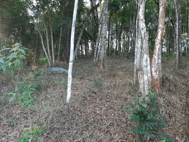 Imagem 7: Lote em Macacos, Condomínio Ecoville 2