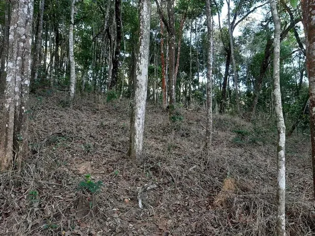 Imagem 6: Lote em Macacos, Condomínio Ecoville 2