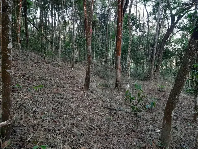 Imagem 3: Lote em Macacos, Condomínio Ecoville 2