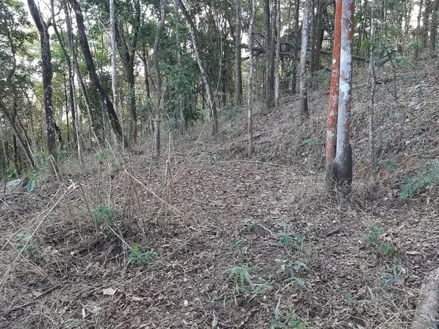 Imagem 5: Lote em Macacos, Condomínio Ecoville 2