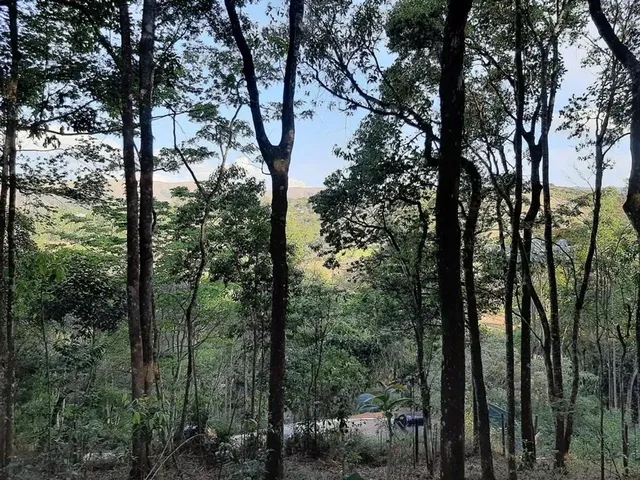 Imagem 4: Lote em Macacos, Condomínio Ecoville 2