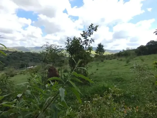 Imagem: Imóvel para Venda Tem 72000 Metros Quadrados