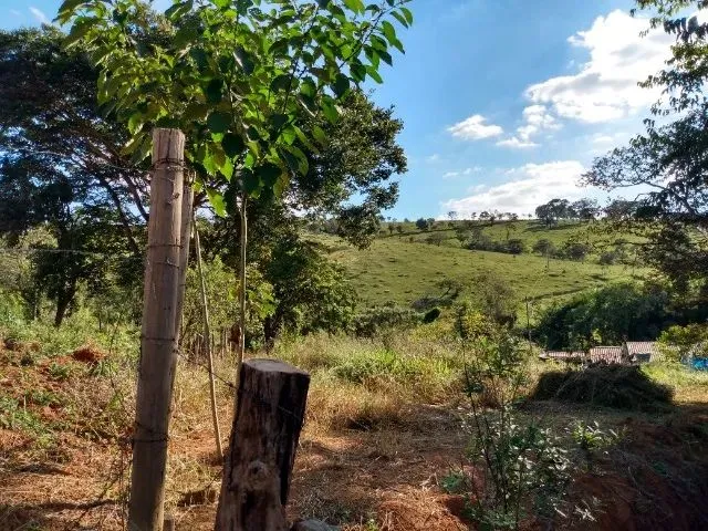 Imagem 2: Vendo Area de 1800 M em Piracema -Mg