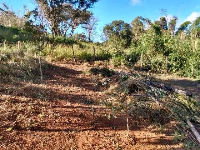 Imagem 6: Vendo Area de 1800 M em Piracema -Mg