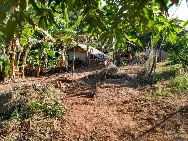 Imagem 13: Vendo Area de 1800 M em Piracema -Mg