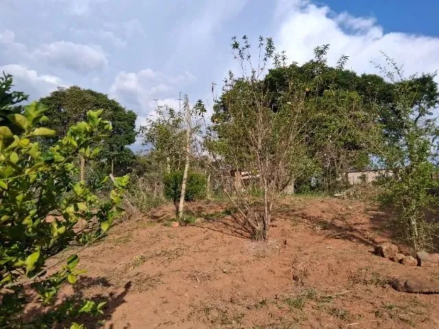 Imagem 5: Vendo Area de 1800 M em Piracema -Mg