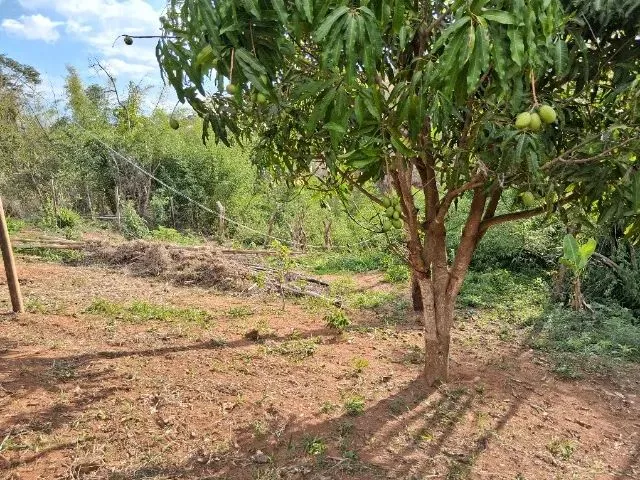 Imagem 4: Vendo Area de 1800 M em Piracema -Mg