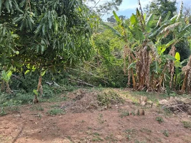 Imagem 15: Vendo Area de 1800 M em Piracema -Mg