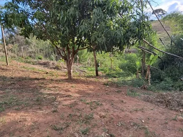 Imagem 8: Vendo Area de 1800 M em Piracema -Mg
