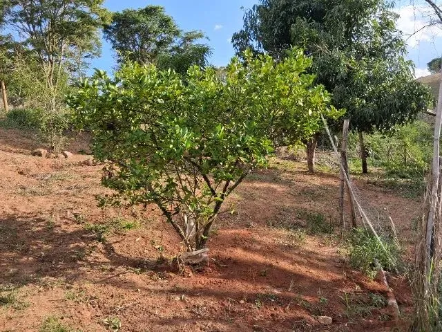 Imagem 3: Vendo Area de 1800 M em Piracema -Mg