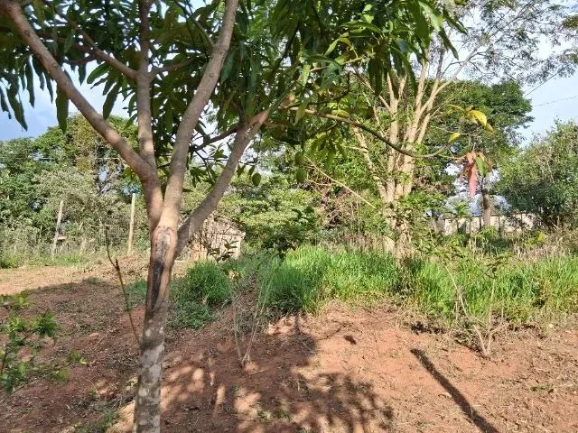 Imagem 9: Vendo Area de 1800 M em Piracema -Mg